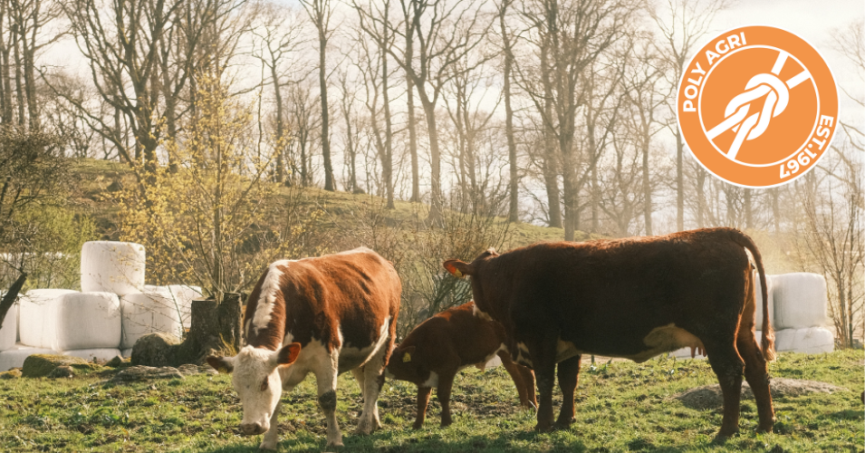 kor i en hage polyagri